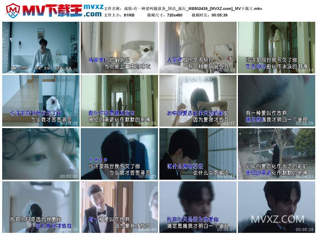 成铭-有一种爱叫做放弃_国语_流行_MB502439
